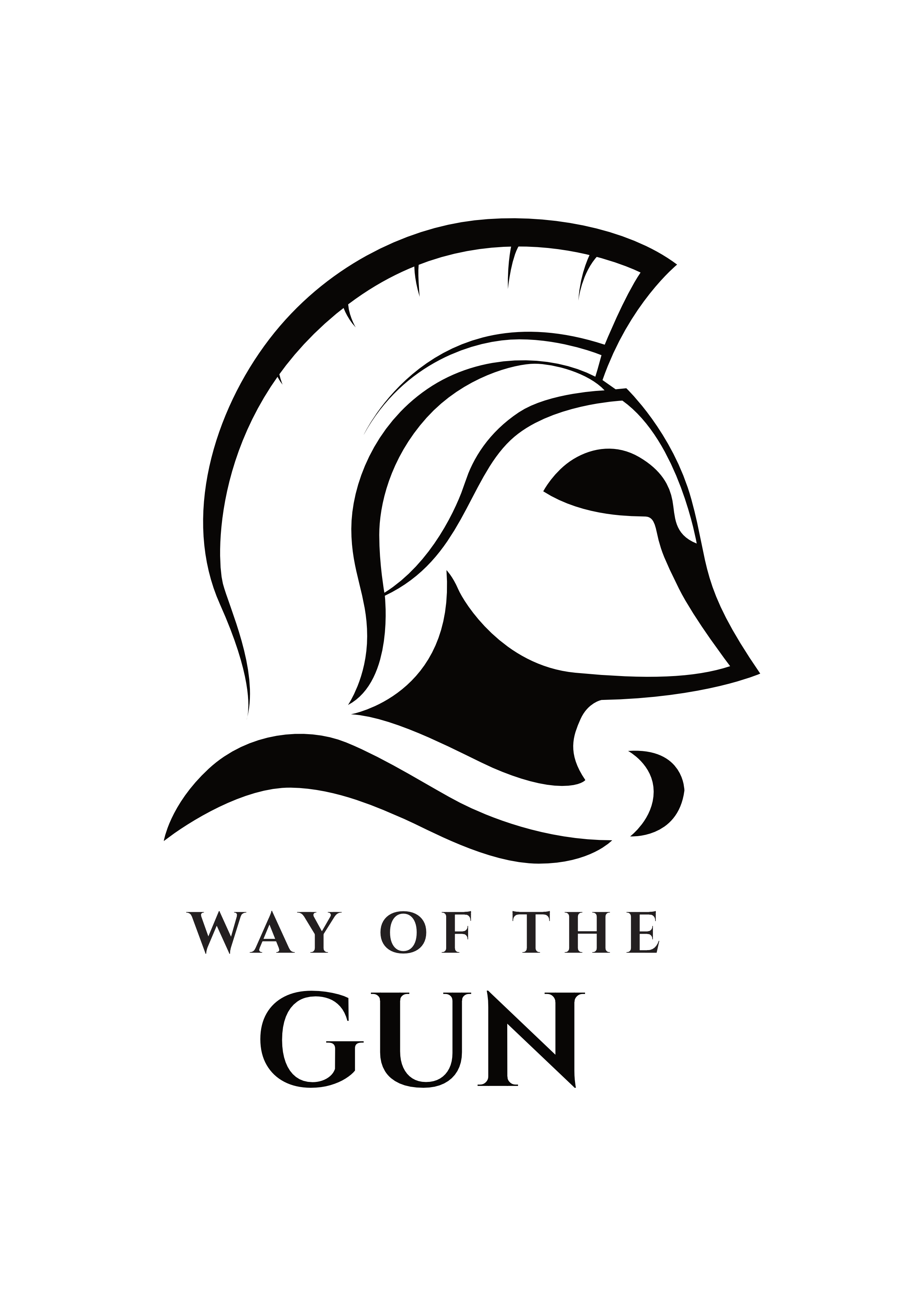 Way of the Gun